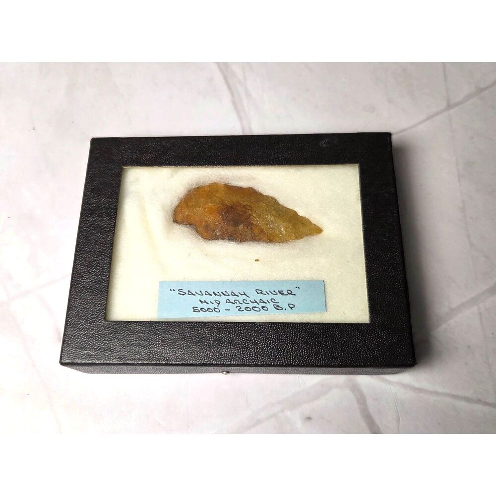 2" Savannah River Arrowhead in Case "Mid Archaic" 5000-2000 BP